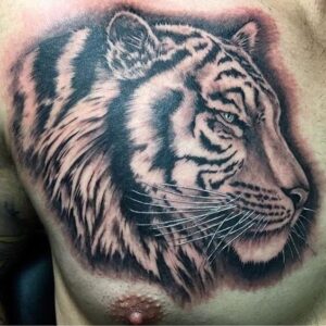 idea tatuaggio Tigre 14
