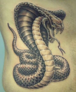 tatuaggio serpente idea 3