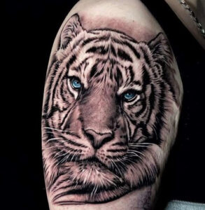 tatuaggio tigre spalla