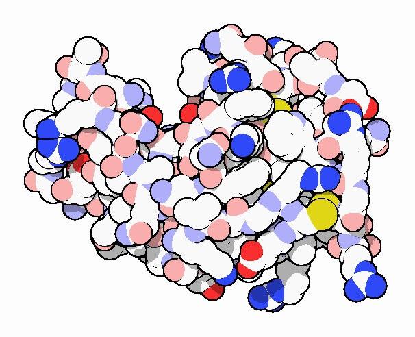 lisozima molecola