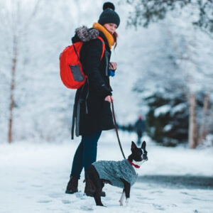 ragazza ben coperta che passeggia con cane in inverno sulla neve