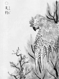 Tengu come mostro simile a un aquilone, da Gazu Hyakki Yakō di Toriyama Sekien. Testo: 天狗/てんぐ (tengu)