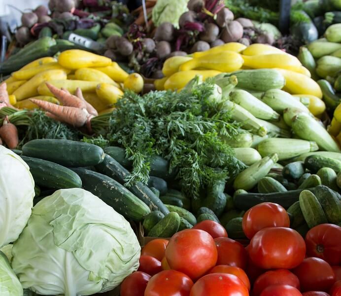 dieta a base vegetale vegana