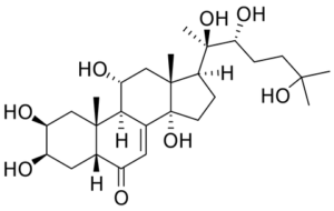 Turkesterone formula chimica