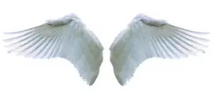 20 20 significato angelico ali di angelo